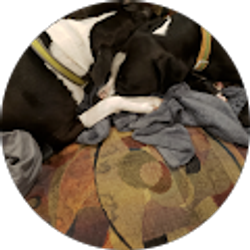 Profile photo of Todd Heyob