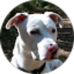 Profile photo of Karla Krieg