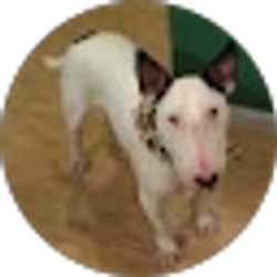 Profile photo of Michael J. Will