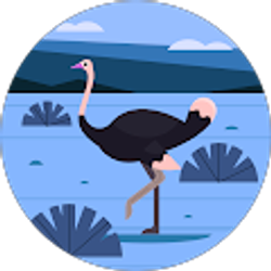 Profile photo of Eight Trigramz