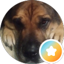 Profile photo of Lisa Bruton