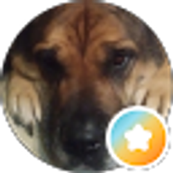 Profile photo of Lisa Bruton