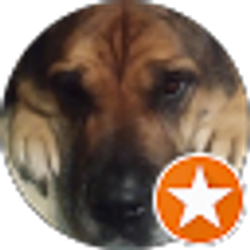 Profile photo of Lisa Bruton