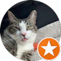 Profile photo of Mike.N