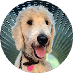 Profile photo of Nadjezhda Laird