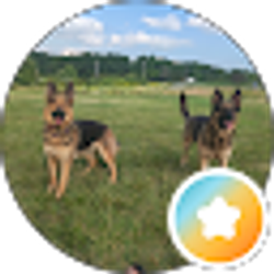 Profile photo of Crystal Card (CVN)