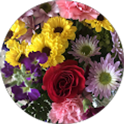 Profile photo of Yadira Rivera