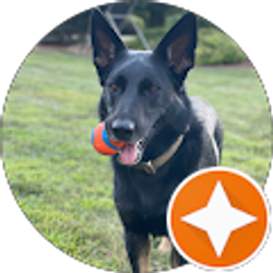 Profile photo of Danny Wojton