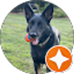 Profile photo of Danny Wojton