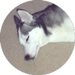 Profile photo of Caleb Olandese