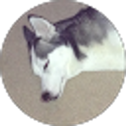 Profile photo of Caleb Olandese