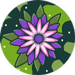 Profile photo of Romeesha Dash