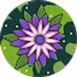 Profile photo of Romeesha Dash