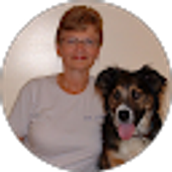 Profile photo of Sherry Kull