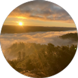 Profile photo of larry starch