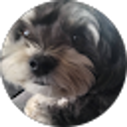 Profile photo of Ari Boynton