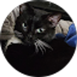 Profile photo of Michelle