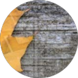 Profile photo of Christopher Zanoni