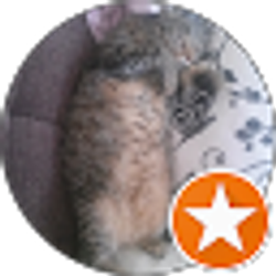 Profile photo of Wagner Cordeiro