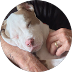 Profile photo of KSCS CS