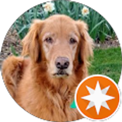 Profile photo of Bruce C.