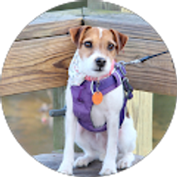 Profile photo of Chris Clifton