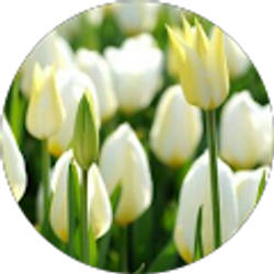 Profile photo of Gorgeous Waters