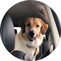 Profile photo of Chris