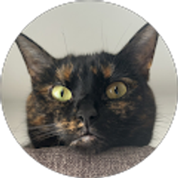 Profile photo of Segundo