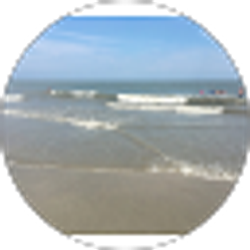 Profile photo of Amy Voelker