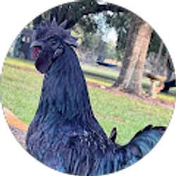 Profile photo of Taylor Johnson