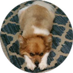 Profile photo of Allen Robinson