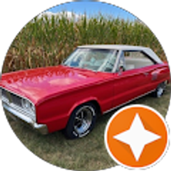 Profile photo of Brian Spector