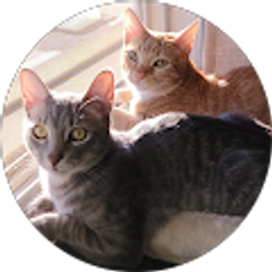 Profile photo of Carolina Franco Ponce