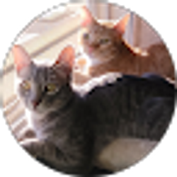 Profile photo of Carolina Franco Ponce