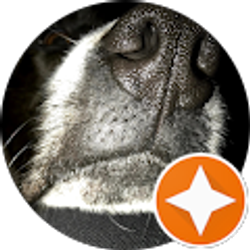 Profile photo of Kathy Short