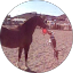 Profile photo of TheMendesranch
