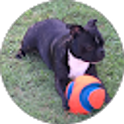 Profile photo of Cynthia Horne