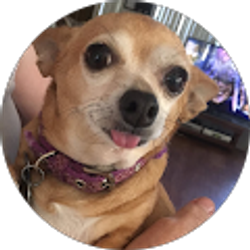 Profile photo of Donnamarie Baker
