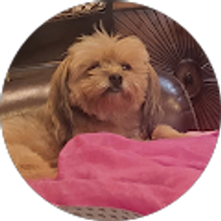 Profile photo of Dora Lee