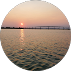 Profile photo of Rich Willard