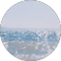 Profile photo of berry Green (1thGTEEN)