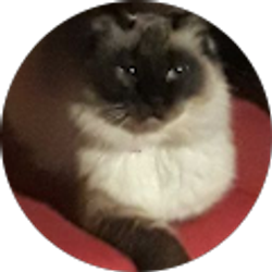 Profile photo of mamis jwls