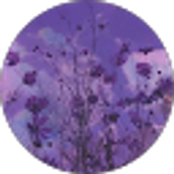 Profile photo of Courtland Akines