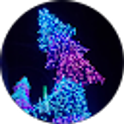 Profile photo of Stanley O