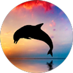 Profile photo of Hayden Levesque