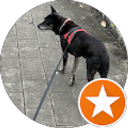 Profile photo of 承鈞