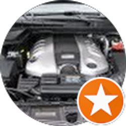 Profile photo of Chris O'Donovan