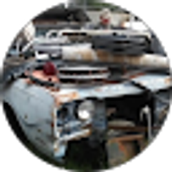 Profile photo of Frank Green