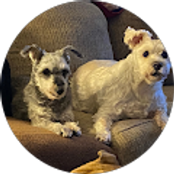 Profile photo of Robert Greet